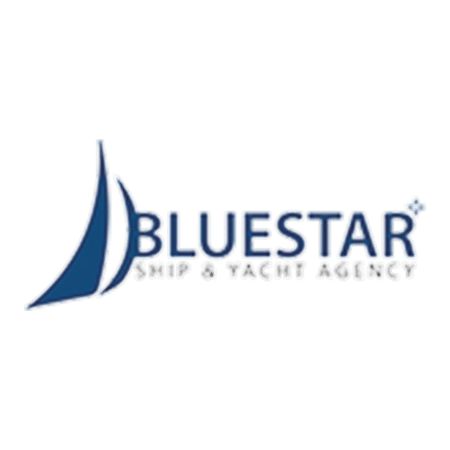 Bluestar logosu